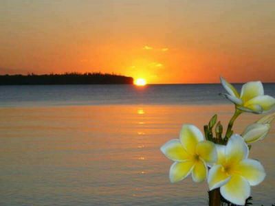 Vestita di vita... l'alba