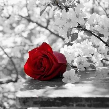 A parlar de �l cuore