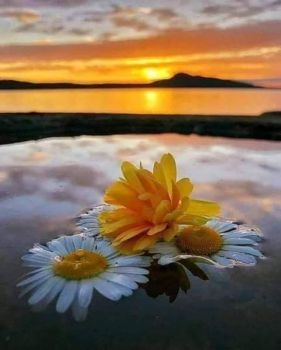 Un dare senza pi� resa