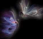 In un battito d�ali