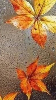 L�ombra del pensiero