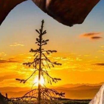 �l tuo cantare m�aspetta