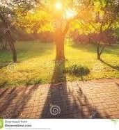 L�ombra de l�autunno