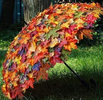 Nelle tasche dell’autunno