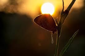 Immaginai pensiero il giorno