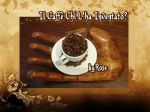 Il caffe' chi l'ha inventato?