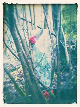 Amara consapevolezza