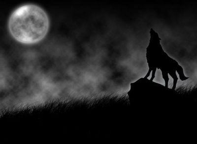 ''Le ombre della notte''