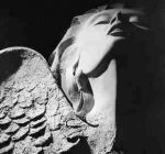 ''D'amore e di poesia''