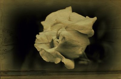 Niente sar� come prima