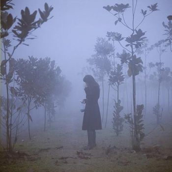 Un giorno di Novembre