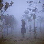 Un giorno di Novembre