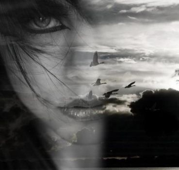 Mai pi� la luna ci sorrider�