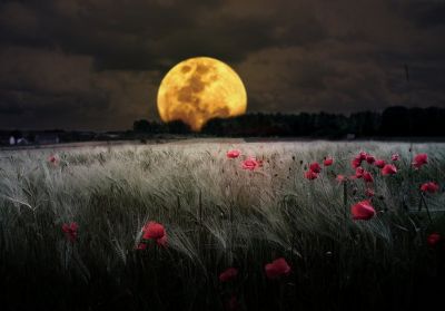 Tutta Colpa della Luna