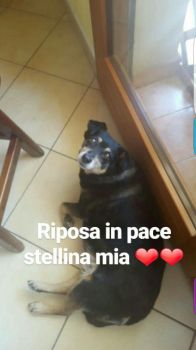 Ti ritrover� nell�arcobaleno