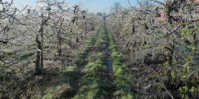 In un giorno d�agosto