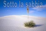 Sotto la sabbia