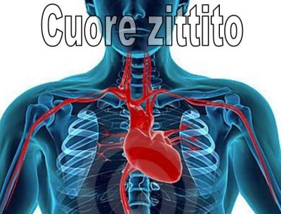 Cuore zittito