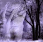 Ai confini del mistero