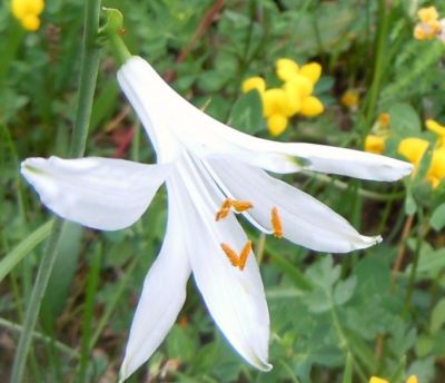 Un giorno da scordare