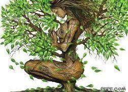 Gli occhi di mia madre