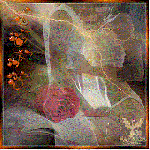 Gioie e semplici cose!