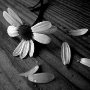 Nel silenzio dell'attesa