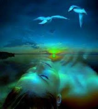 Le emozioni del mare