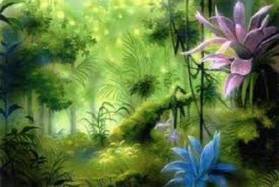 Sei venuta dal nulla