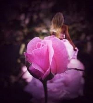 Nella semplicit� dei giorni