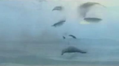 Un oceano di silenzio