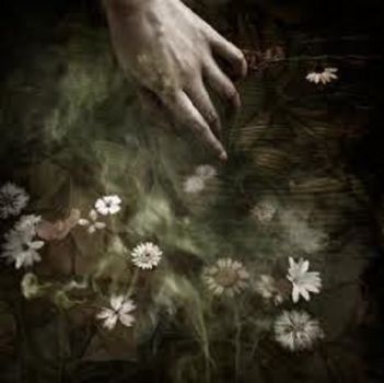 Le giostre della sera