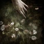 Le giostre della sera