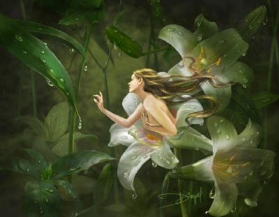 Nell'incanto di un fiore