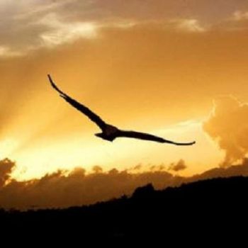 Sei gi� in viaggio