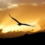 Sei gi� in viaggio