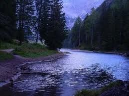 Piccole dosi d'amore