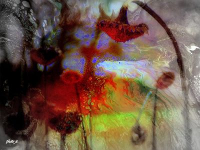 Sogni al banco dei pegni