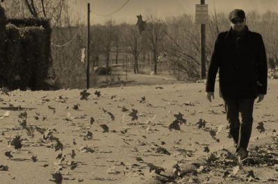 Oppure solo un po' di luce