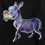 Presunzione di verit�