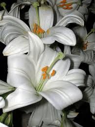 Gi� le mani dai bambini