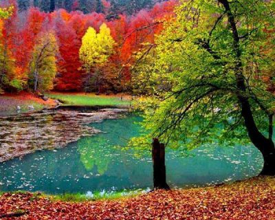 Una stagione va e l'altra viene