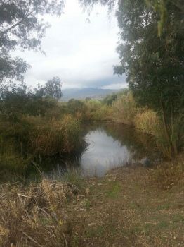 Aspettando l�amore