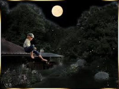 In una notte di lucciole