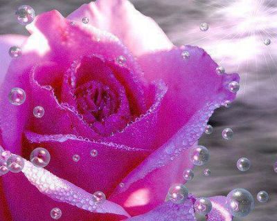 Al vento racconterai