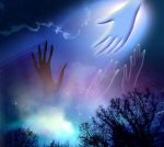 Sulle ali del silenzio