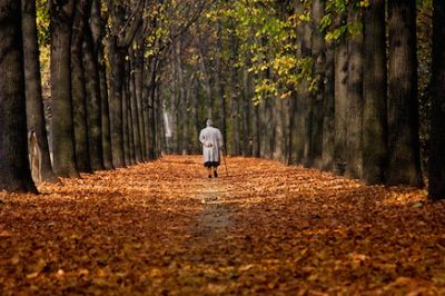 Fin quando regger�?