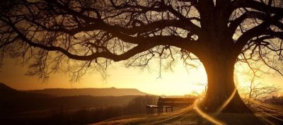 La strada... la tua strada