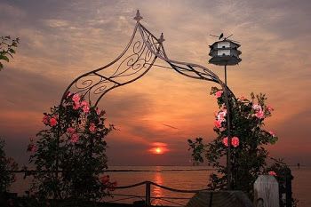 La vita che mi sorride