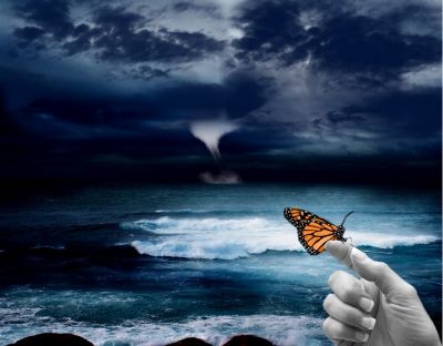 Sulle ali di una farfalla